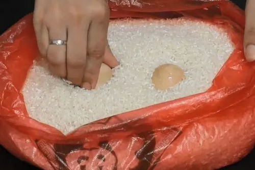 把剪刀插进大米里,结果意想不到,看完涨知识了