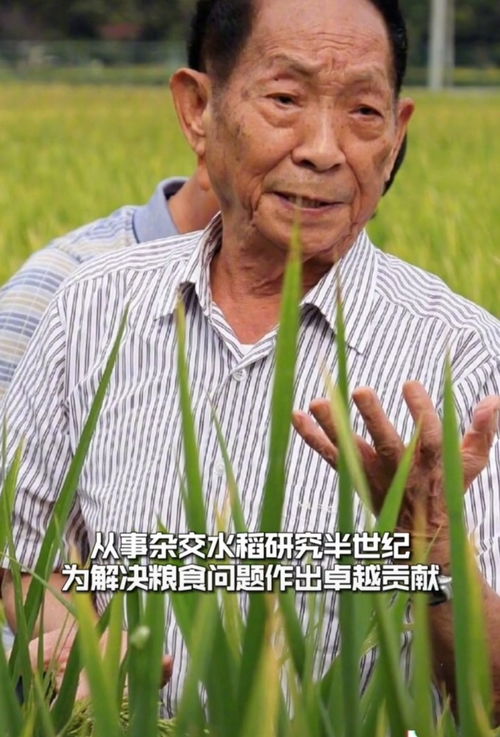 10月17日,印军收到噩耗 一支部队边境团灭,莫迪最怕的事发生了