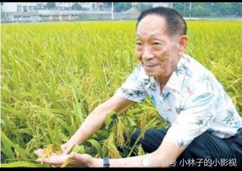 袁隆平爷爷逝世,一路走好