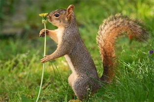 国庆黄金周到佛山南丹山听鸟语 觅鼠踪,度一个动物园假期