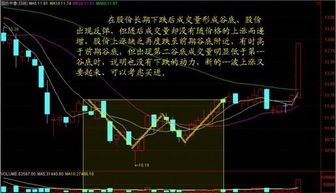 什么样的盘口才是强势盘口 如何做到一买就涨全靠这招,珍藏