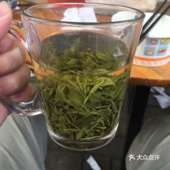 今年七夕如何玩 去亚宠展,看宝路携手于朦胧撒狗粮