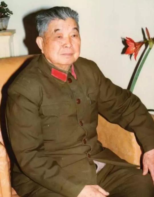 儿子参军离家21年,当上司令员后返乡,竟发现老母亲在沿街乞讨