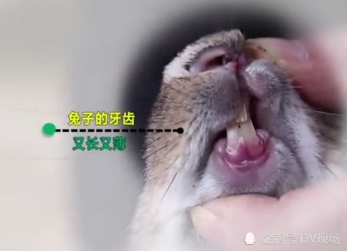 法国2019 2020学年的学校放假时间已出