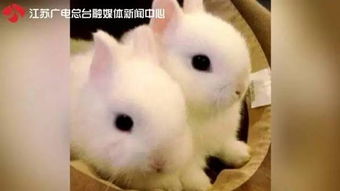 南京巨程 新加坡学校放假,留学生到底要不要回国,官方回应来了 回去后果很严重