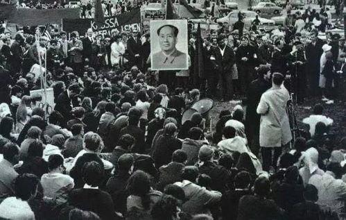 美国暴乱中的神秘团体,揭开了黑人最光辉的一段历史