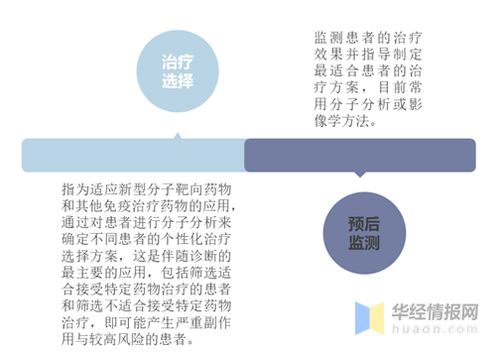 英伟达 AI 时代最强音 人工智能立夏已至,AI 芯片迎接蓝海