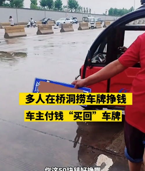 多名中年大叔积水中捞车牌,车主拿回需付50元感谢费,网友 不贵