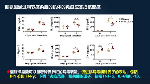 私塾在线名师到家 2018年秋季班开课通知