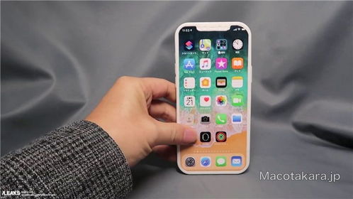 疑似 iPhone 12 Pro Max 模型曝光,延续刘海屏方案