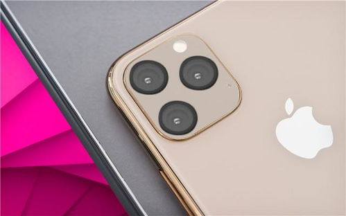 iPhone11 MAX机模上手,左侧静音键被取消了
