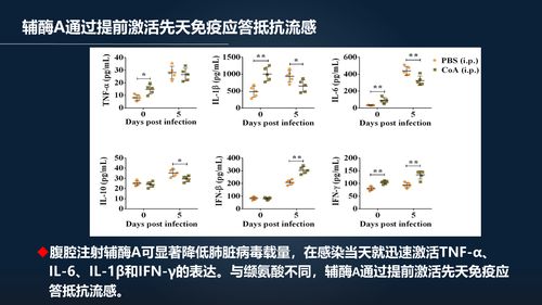 网上开课一个月,老师有一种冲动叫 穿过屏幕纠正你