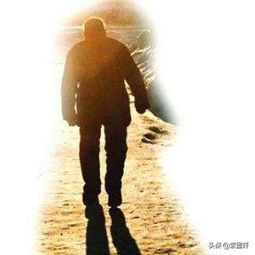写给父亲的十四行诗 双语