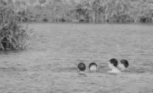 在老家长大的日子 乡土乐园