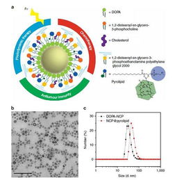 顶刊动态 Nature子刊 Nano Lett. 等生物材料最新学术进展汇总