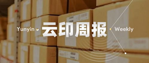 云印 玖龙原纸再次让利,国废开启全面下跌,市场交易气氛持续转弱