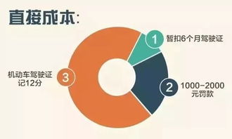 前仆后继,又一批驾驶人告别驾驶生涯 吉林省公安厅交警总队曝光3月份以来20名终生禁驾人员信息