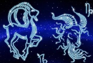 一月十七号是什么星座 