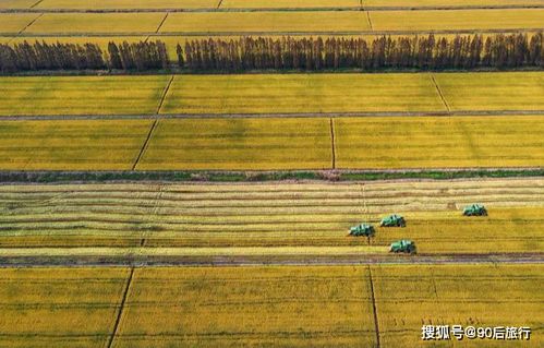中国一座 鲜为人知 岛屿 每年都在扩大,岛上分属 两省三县