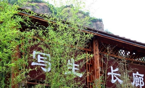 曾经仅有几户人家的河南小山村,如今竟成了全国著名的 画家村