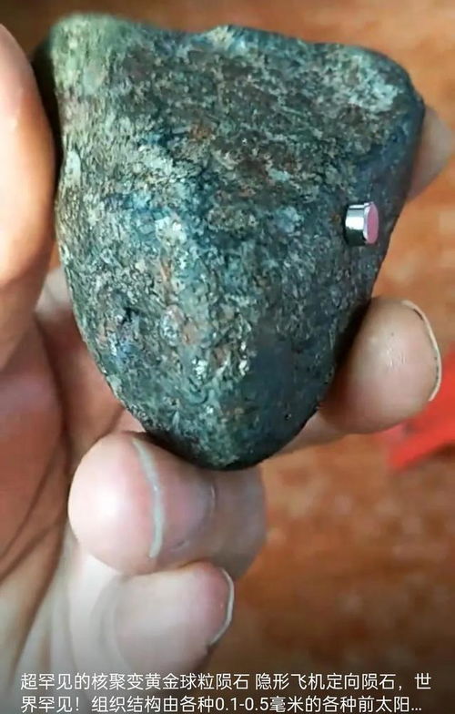 世界罕见 黄金球粒定向陨石共赏