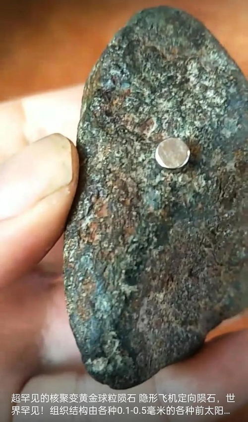 世界罕见 黄金球粒定向陨石共赏