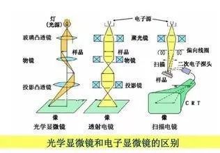 接下来,是见证微观世界的时刻 