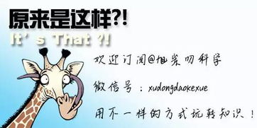 外科手术的黑历史