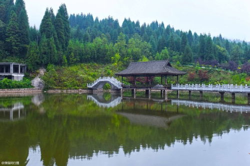 贵州大山里的 凉都 ,夏季气温19 ,渐成避暑 候鸟 之城