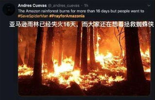 谈资 救救亚马逊吧,人类需要为自己的愚蠢买单