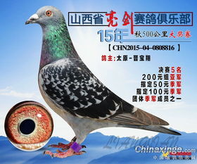 5名 山西火林鹰 