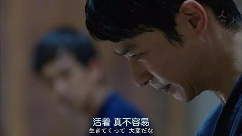 很遗憾,最后我们都输给了生活 网易订阅 