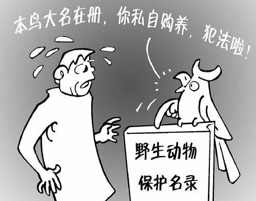 另类萌宠要慎养 当心违法还不知道