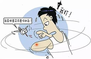 蚊子大作战 13个大招教你夏天远离蚊虫叮咬 