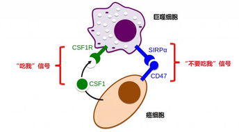 科学 子刊 免疫治疗新突破 新药有望治疗 5 种恶性儿童脑瘤 奇点猛科技