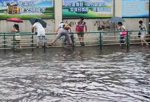 暴雨天最强装备,陪你在魔都 看海