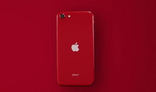 新iPhone SE 真的恭喜了