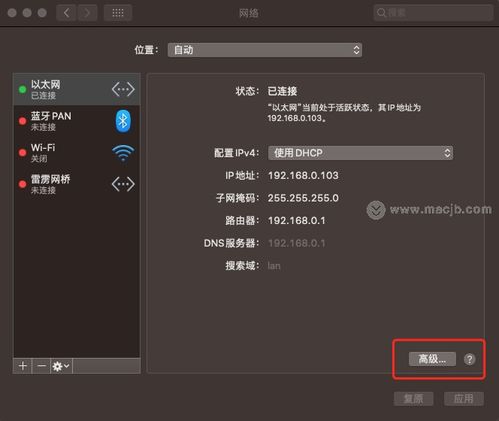 Mac苹果safari浏览网页打开速度很慢如何解决