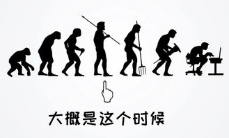 在卡莫 玺诞生之前,玉石都是什么样子的