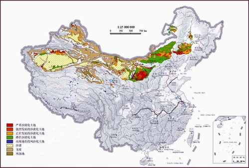 81度 极端天气频现,植树造林无用 专家 改造沙漠,代价或过高