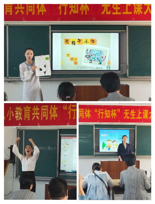 阜南八小教育共同体 行知杯 无生上课大赛,精彩等您来点评