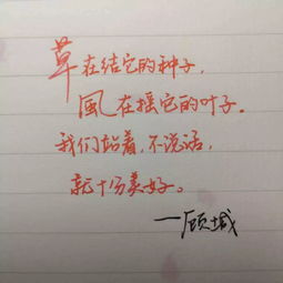 八种语言说爱你 天大 这一生的情话,今天说与你听