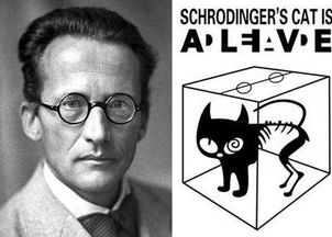 薛定谔的猫,2分钟让你读懂量子力学