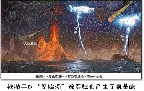 陨石中首次发现蛋白质,会颠覆关于生命起源的认知吗