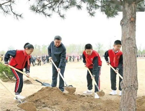 倡导人人爱绿植绿护绿的文明风尚共同建设人与自然和谐共生的美丽家园