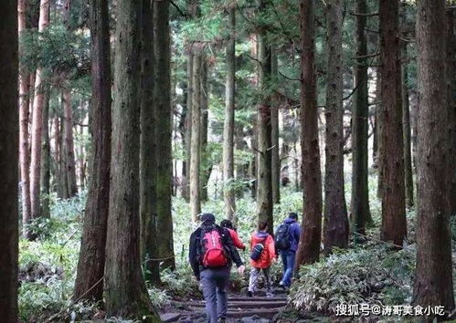 韩国家庭的一日三餐,都爱吃些什么,人均预期年龄达到83.5岁