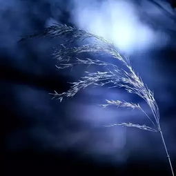 我们每个人的路都不是很宽 