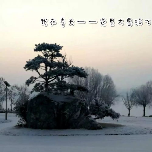 心中种种思念,写给你,我的故乡...... 