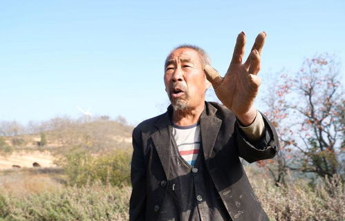 55岁大叔,从胃炎到胃功能正常仅半年,医生 方法不错,值得学习