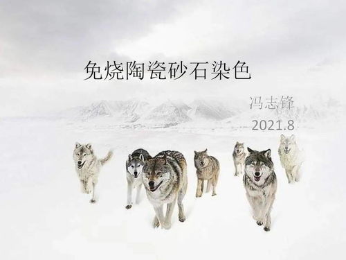 免烧陶瓷砂石染色